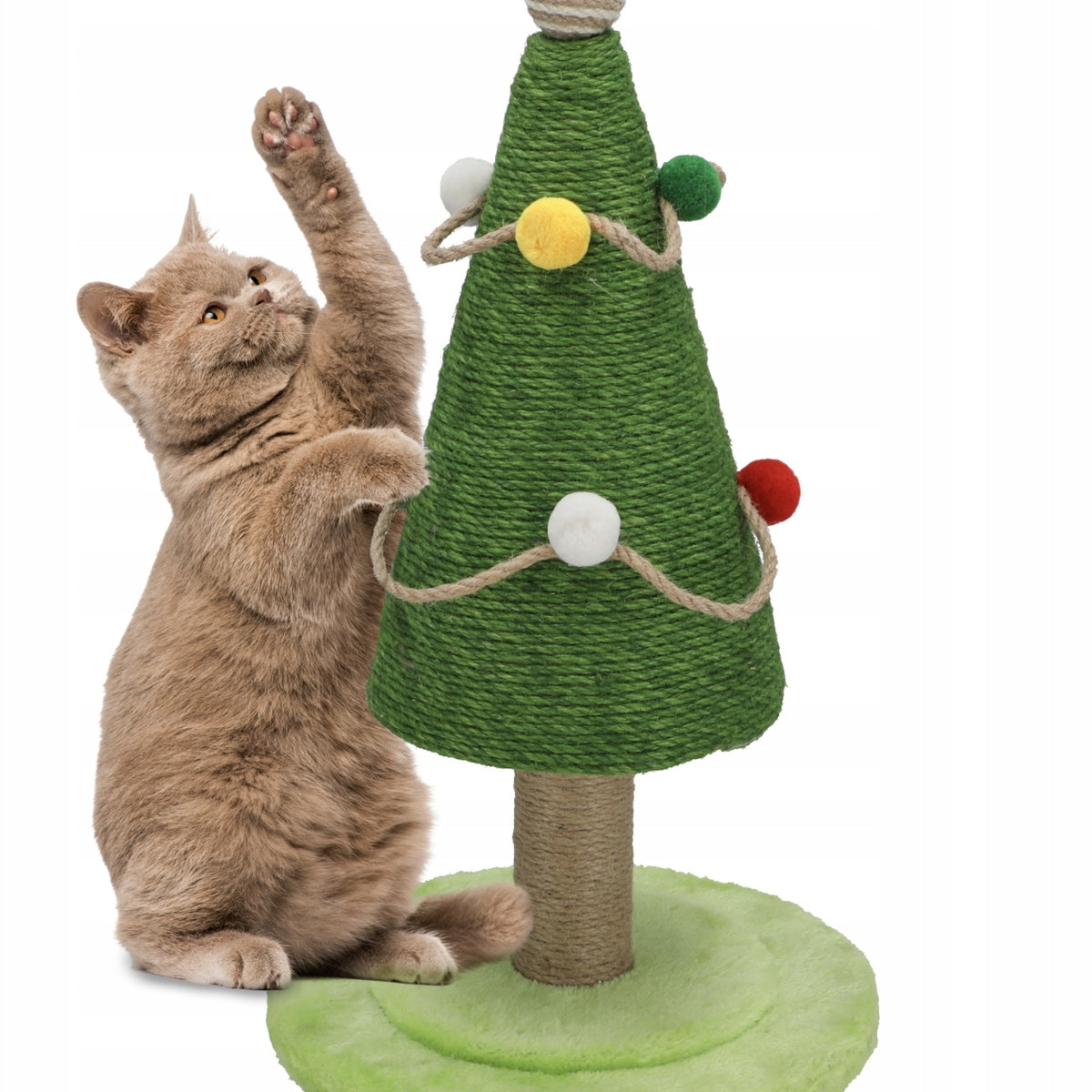 97a43d4ba7bb9020c00b57eb3adc5186