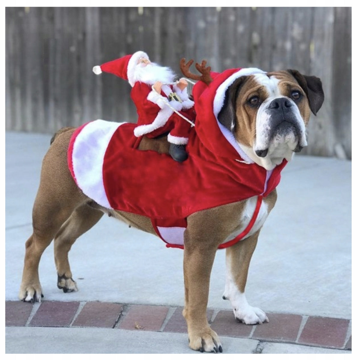 3d9419252ee9c68bcc5079dde9b9b367