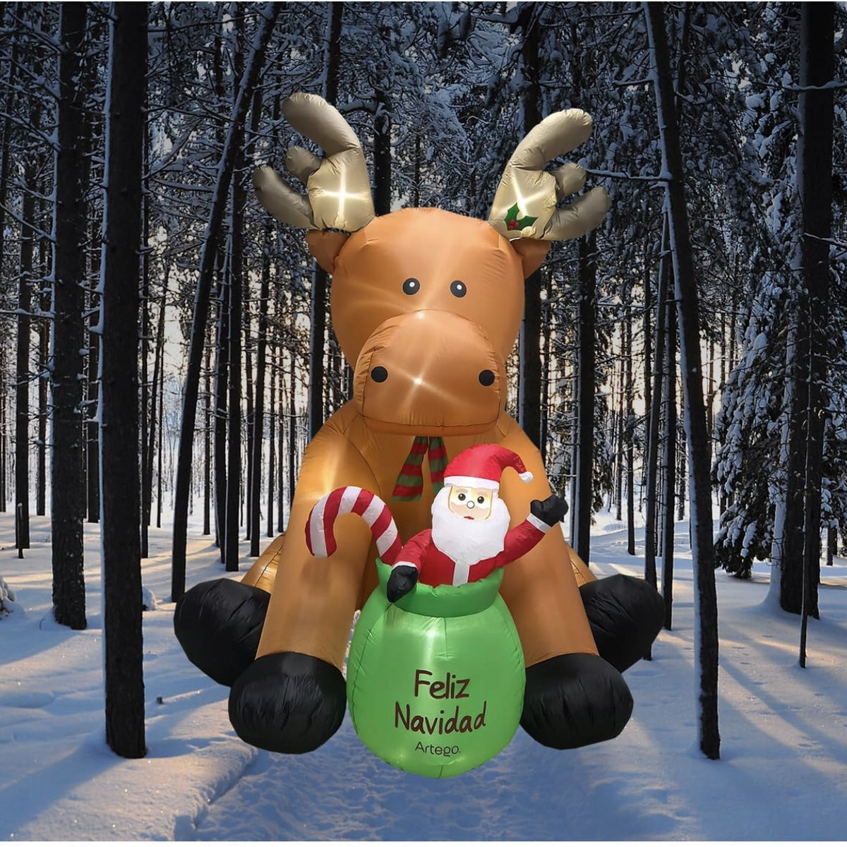 1c50984100f1da5b83a5c434fc5279ef