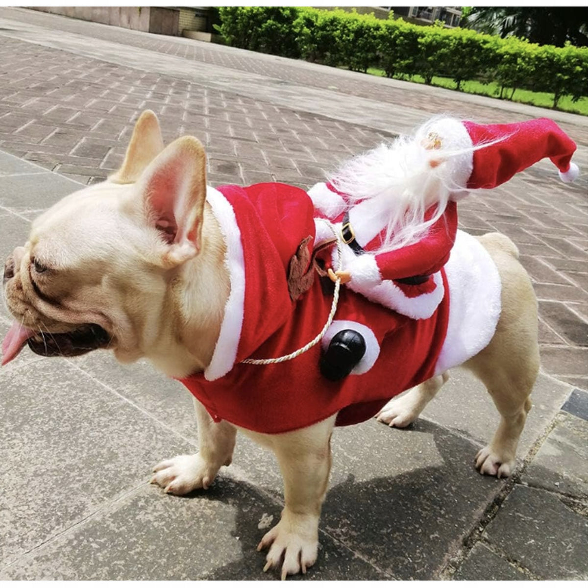 734a0f55d84c054cd18fe96974a318a9