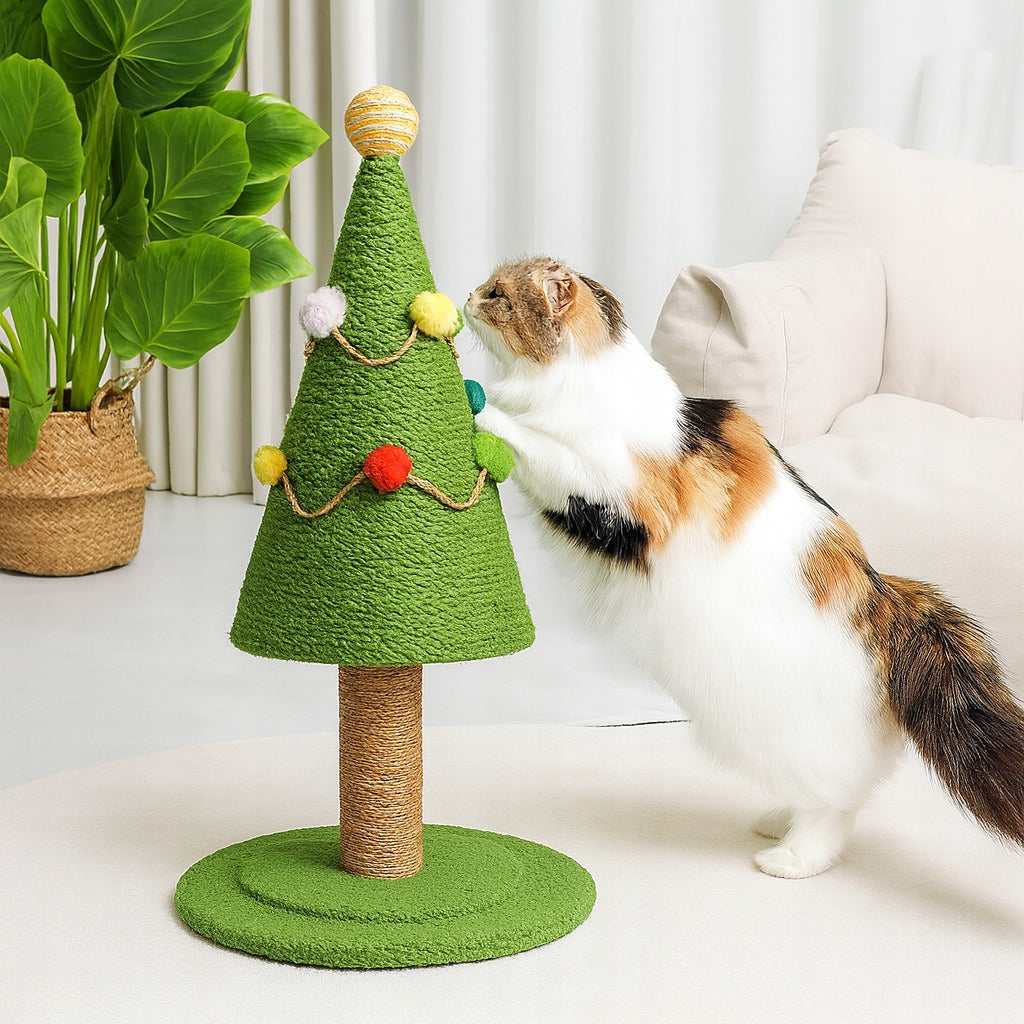 a6bcd76706030b8116b7baebeafad407