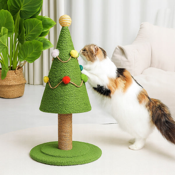 a6bcd76706030b8116b7baebeafad407