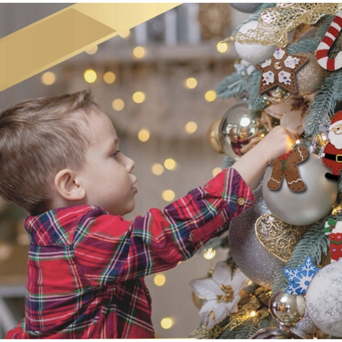 2f68fefde05be0e012d2d1972487de53