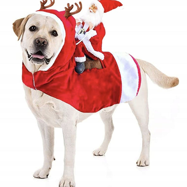 2768cae6f41c22b68df0161f2c3b8c4e